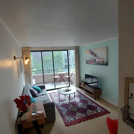 Apartamento Comodo Tranquilo Providencia Apartment